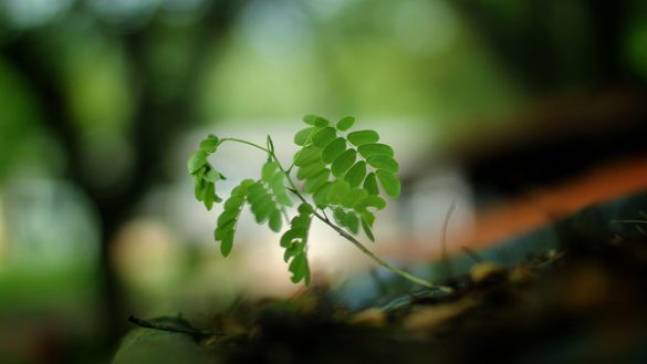 Lifecycle Marketing Explained: How To Boost Retention And Build Customer Loyalty