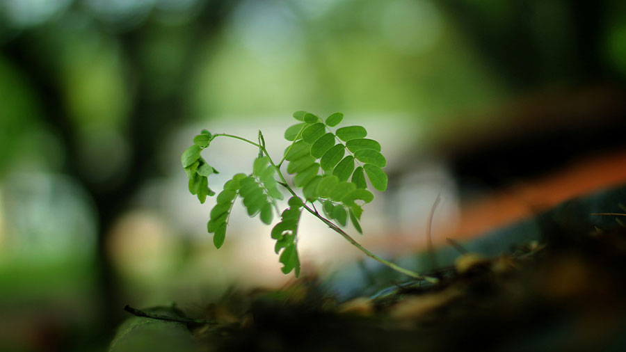 Short Blog_Lifecycle Marketing